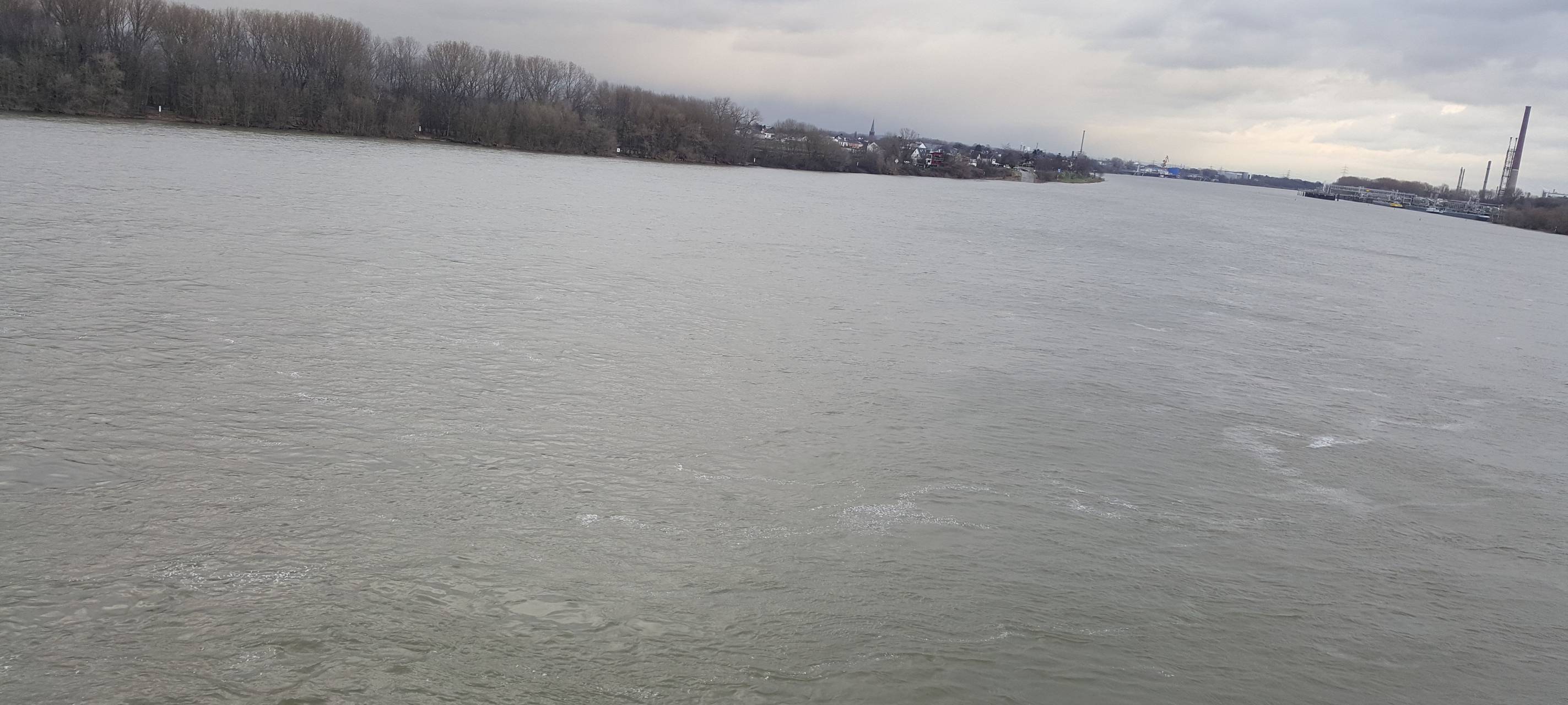 Köln: Vermisste Frau vom Rhein