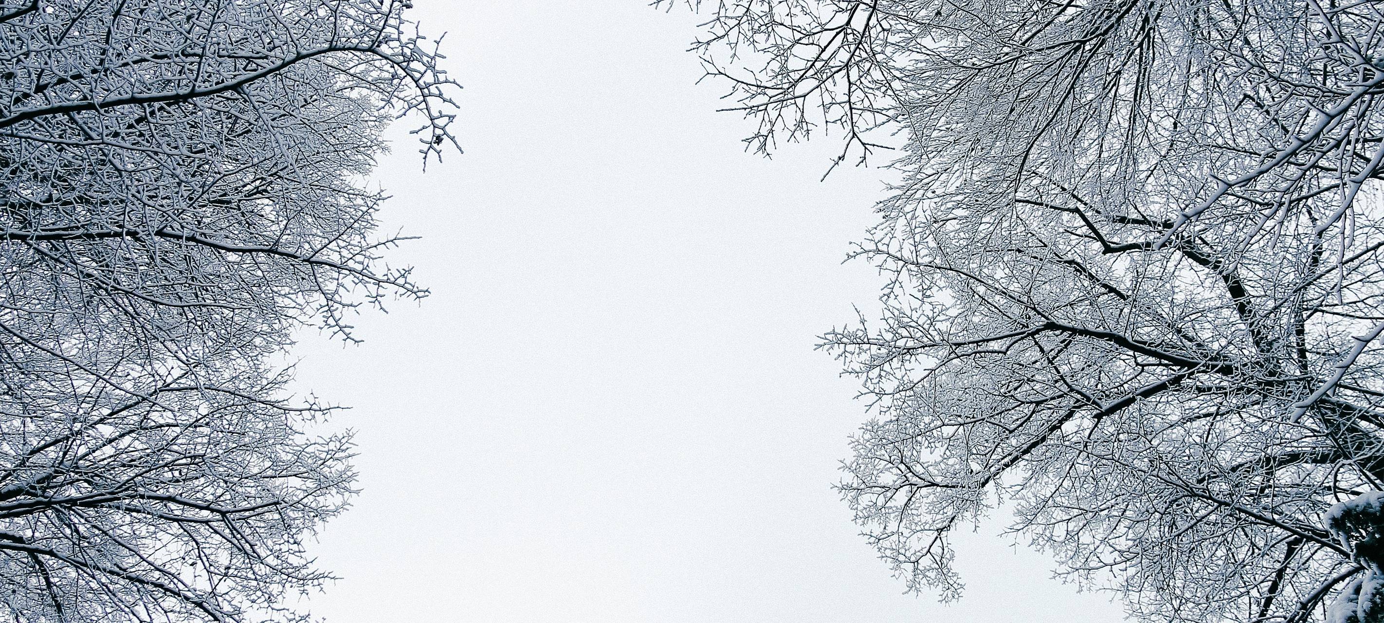 Region/Eifel: Schnee-Touristen mäßigen sich - vorübergehend?