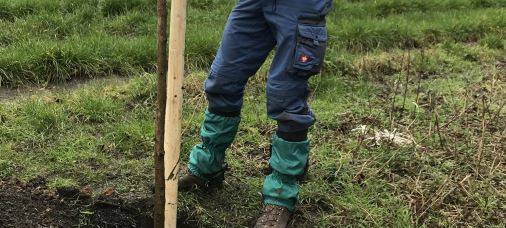 Bedburg: Storchenwiese soll weiter wachsen