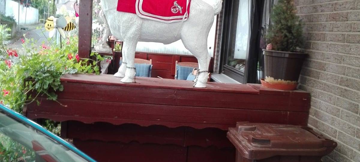 Gipskopie von FC-Maskottchen Hennes gestohlen