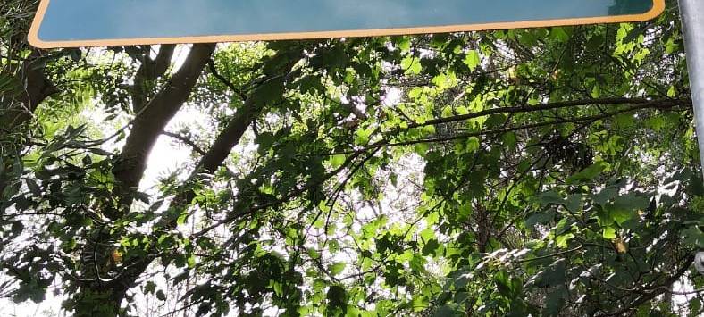 Sommerfest der Rotarier in Pulheim lockt mit Kultur und Kinderspaß