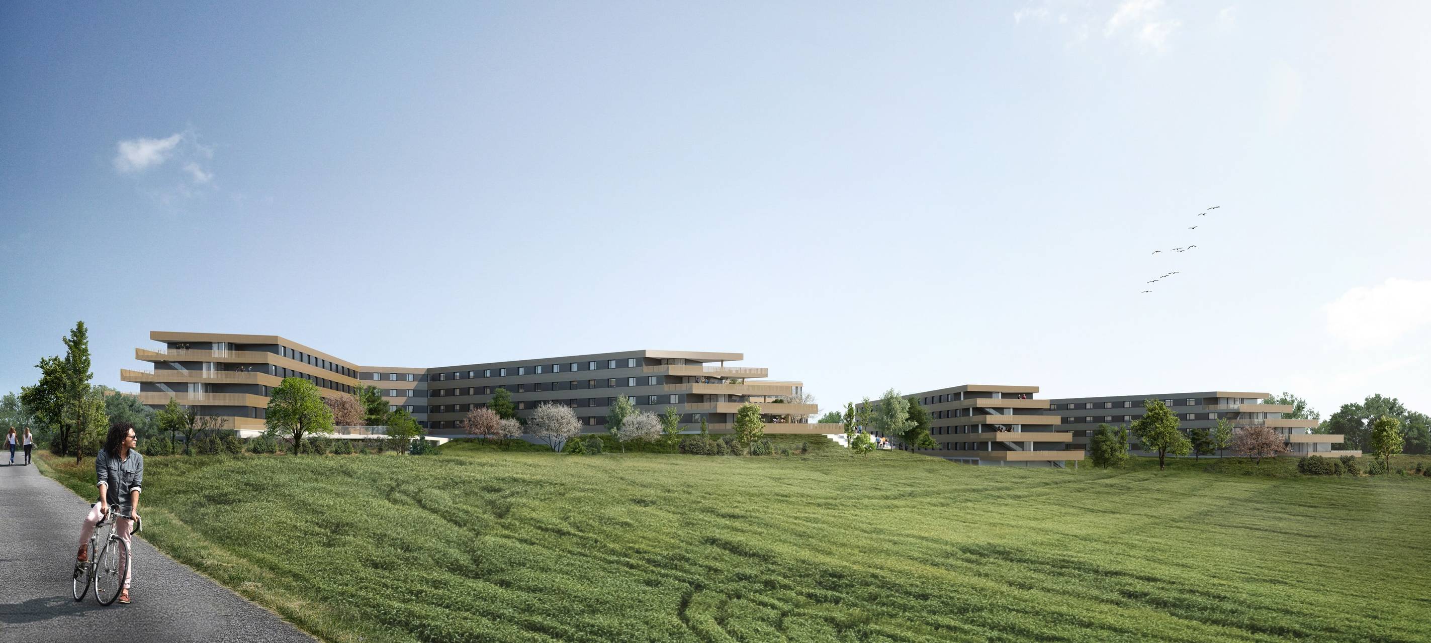 Brühl: Aus für Heider Bergsee Campus - Investor verärgert