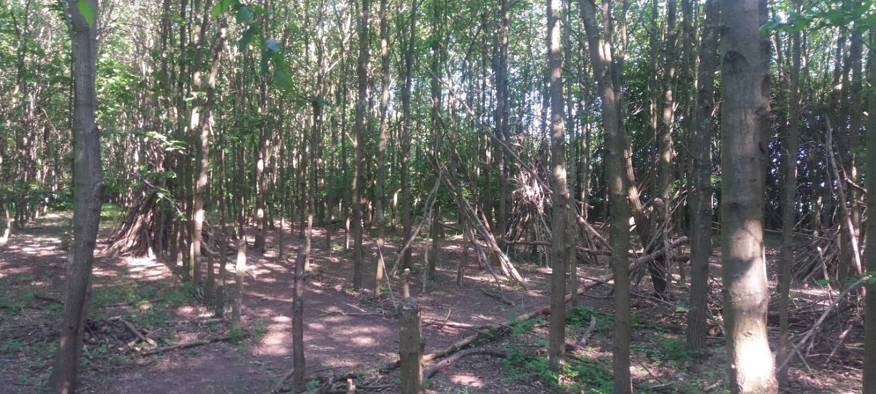 Tipis im Wald werden abgebaut