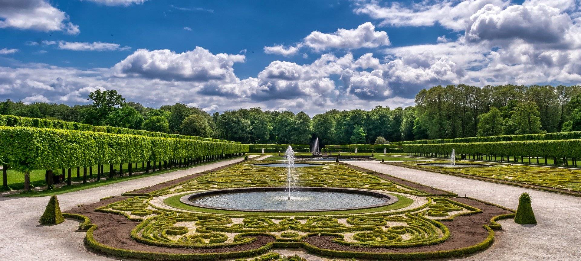 Brühl: Fast alle Bäume im Schlosspark sind krank!
