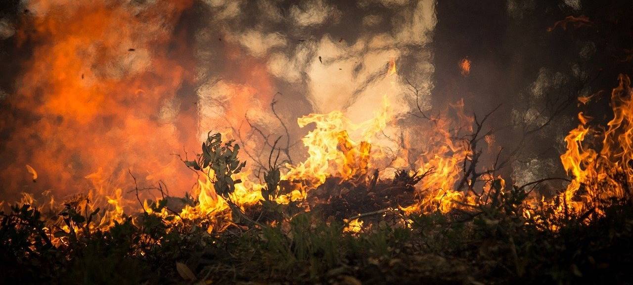 Pulheim: Stoppelfeld an der Venloer Straße brannte