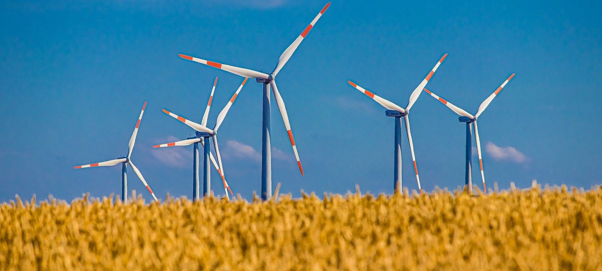Pinkwart für schnellen Strukturwandel im Rheinischen Revier