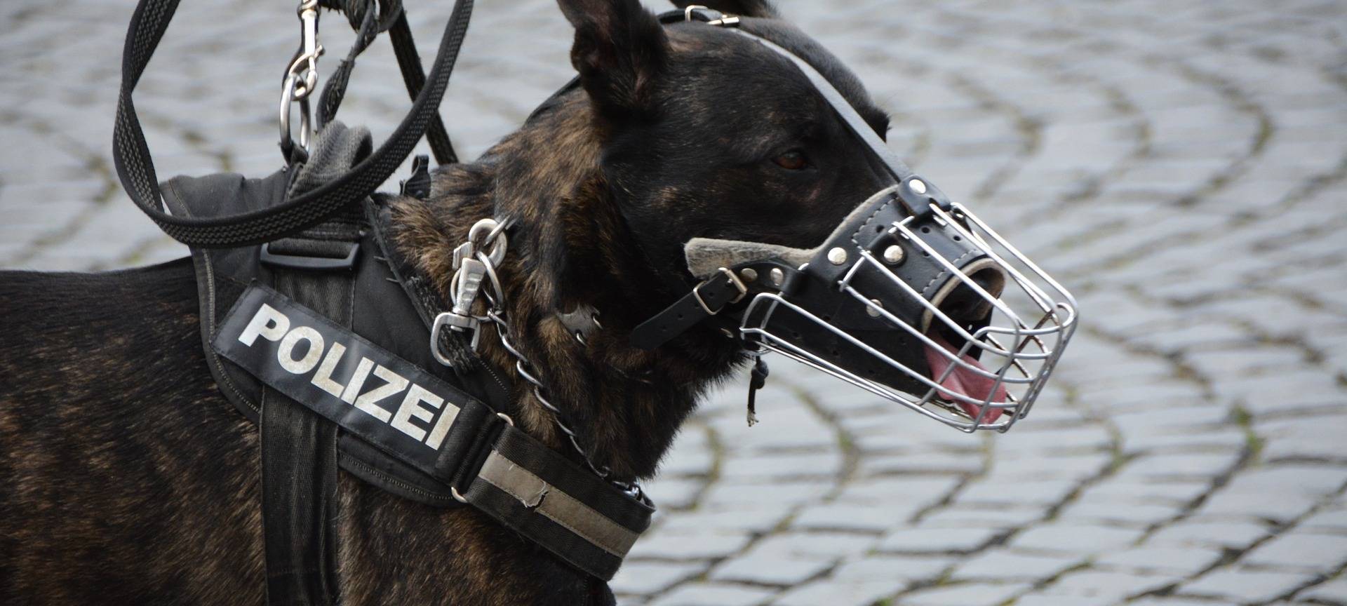 Hürth: Tankstelle am Rastplatz Ville Ost überfallen