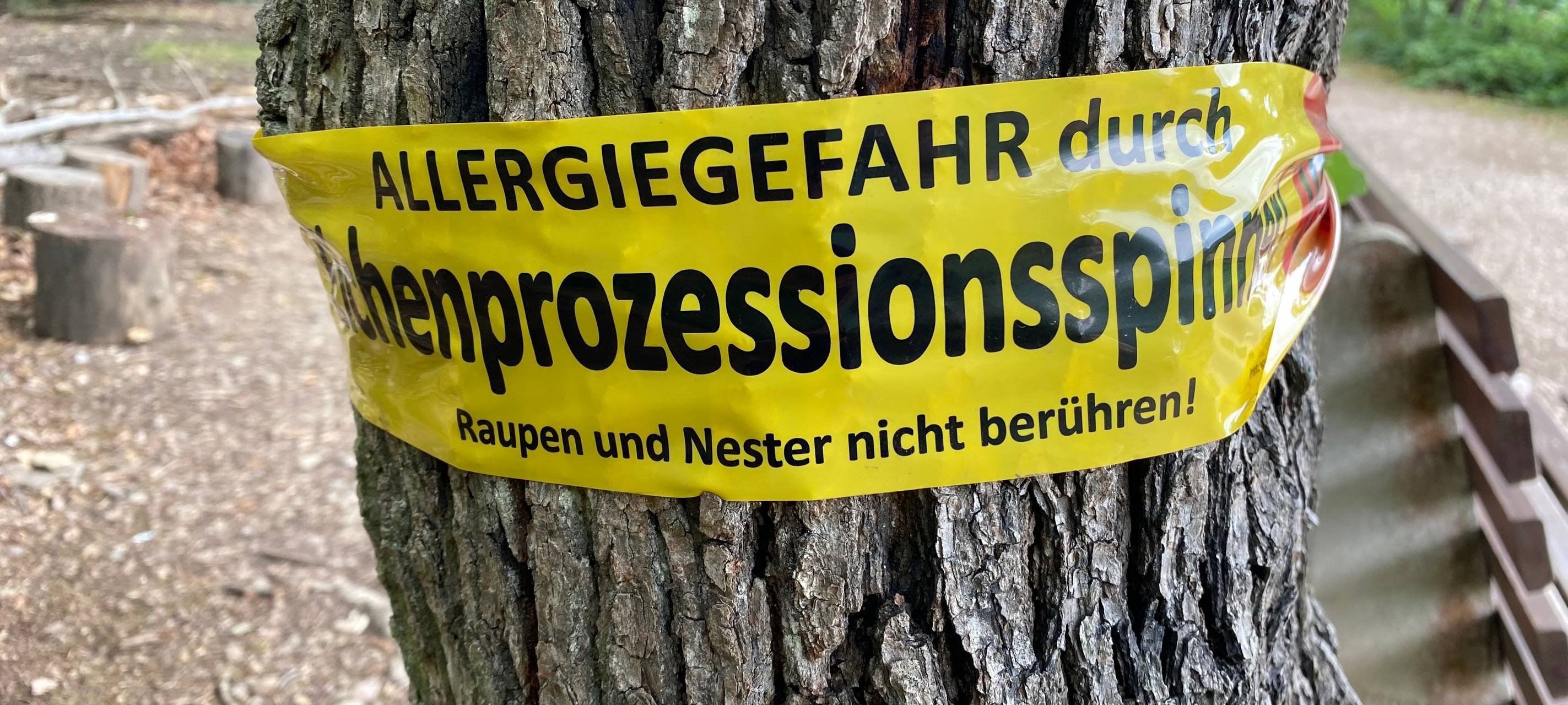 Bergheim: Meisen und Fledermäuse gegen giftige Raupen