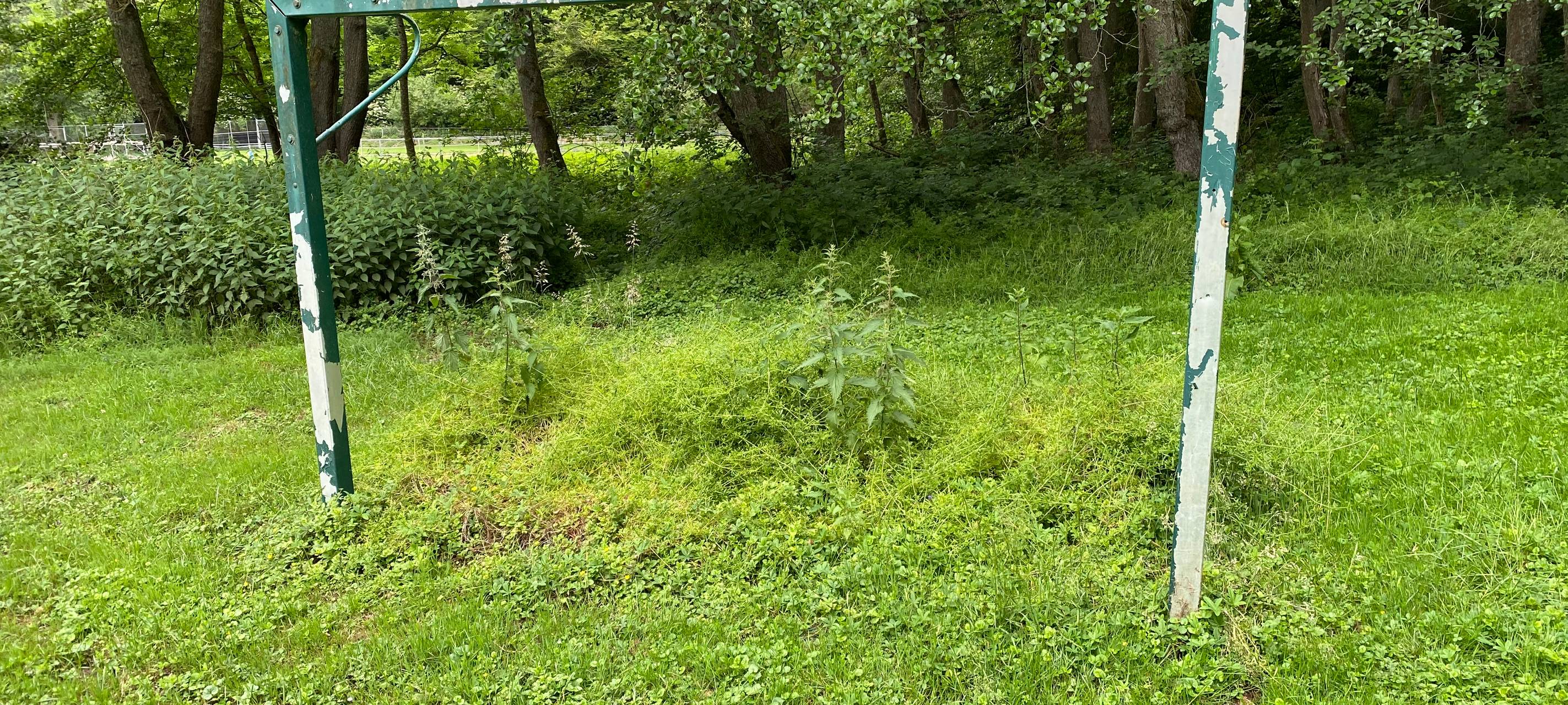 Kerpen: Fachkräftemangel bremst neues Vereinsheim aus