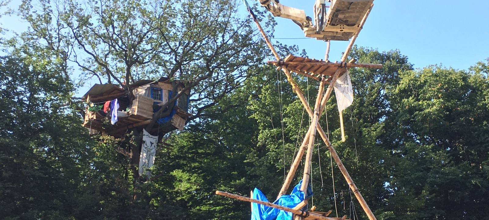 Rhein-Erft: Aufbauten im Hambacher Forst entfernt