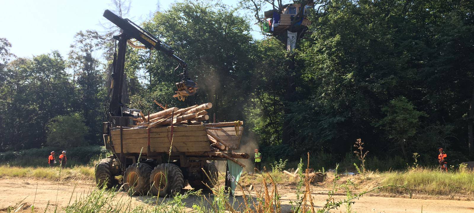 Rhein-Erft: Aufbauten im Hambacher Forst entfernt
