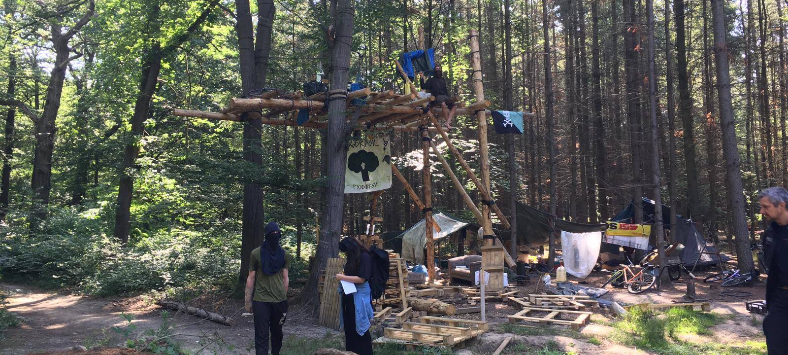 Rhein-Erft: Aufbauten im Hambacher Forst entfernt
