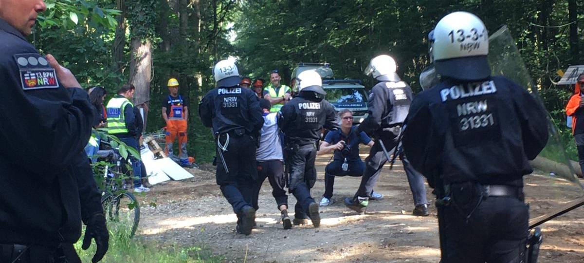 Rhein-Erft: Polizei wieder im Hambacher Forst