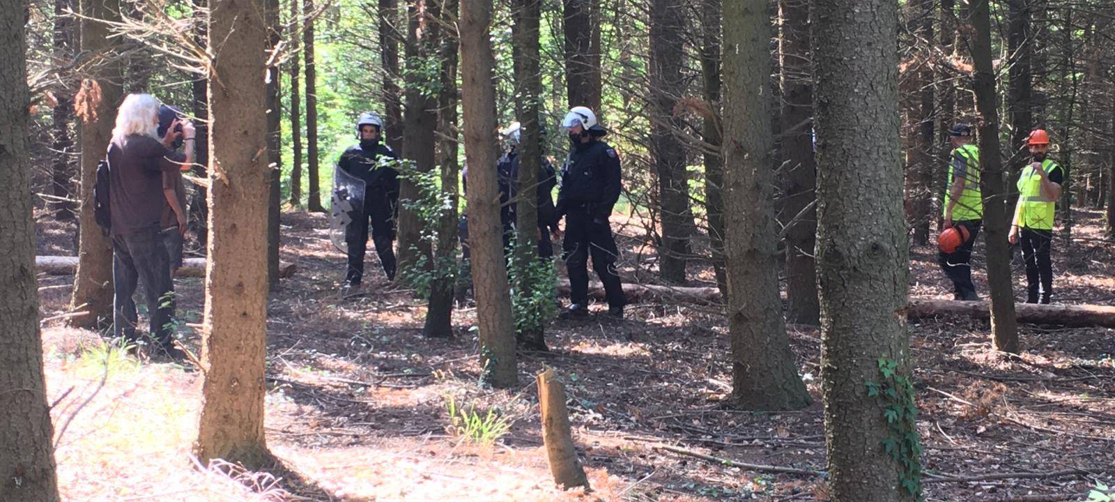 Rhein-Erft: Aufbauten im Hambacher Forst entfernt