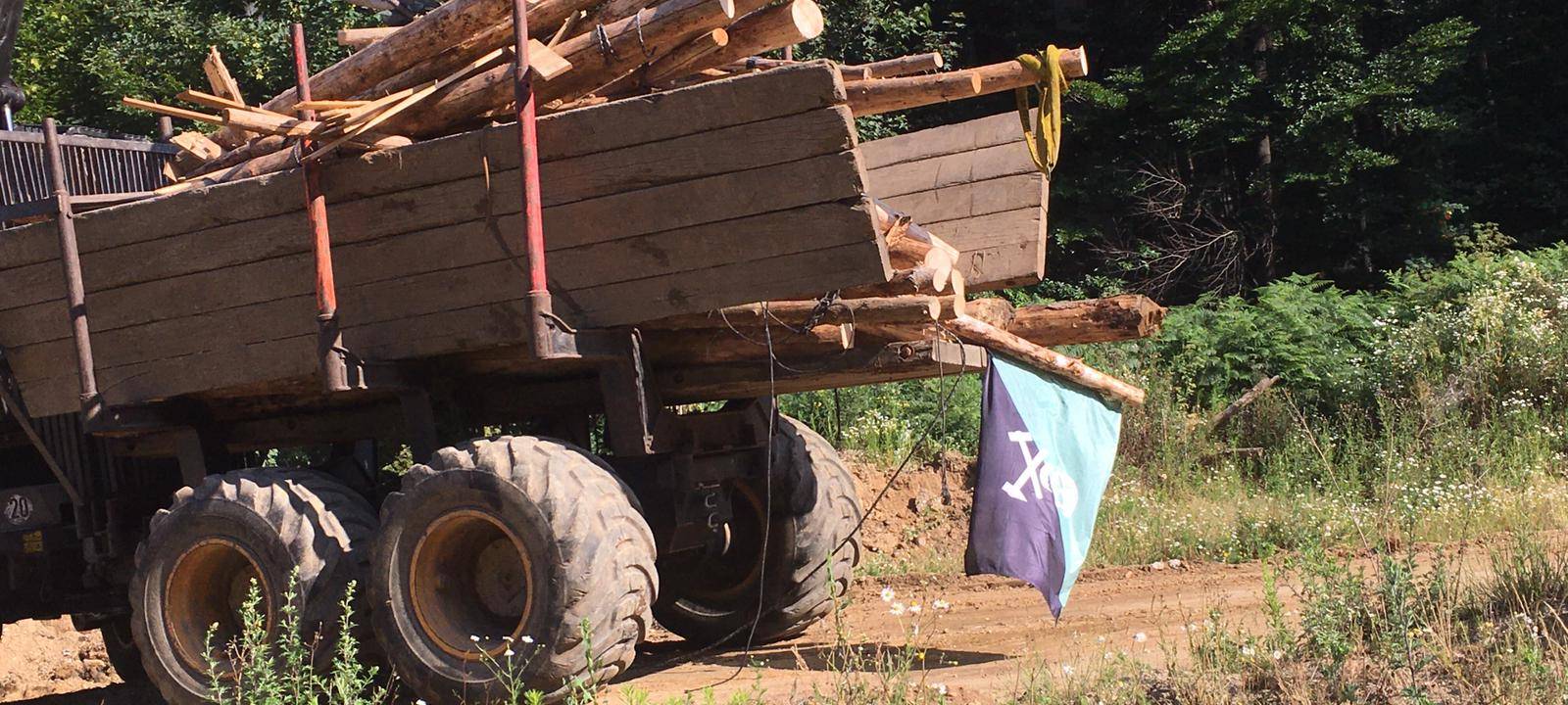 Rhein-Erft: Aufbauten im Hambacher Forst entfernt