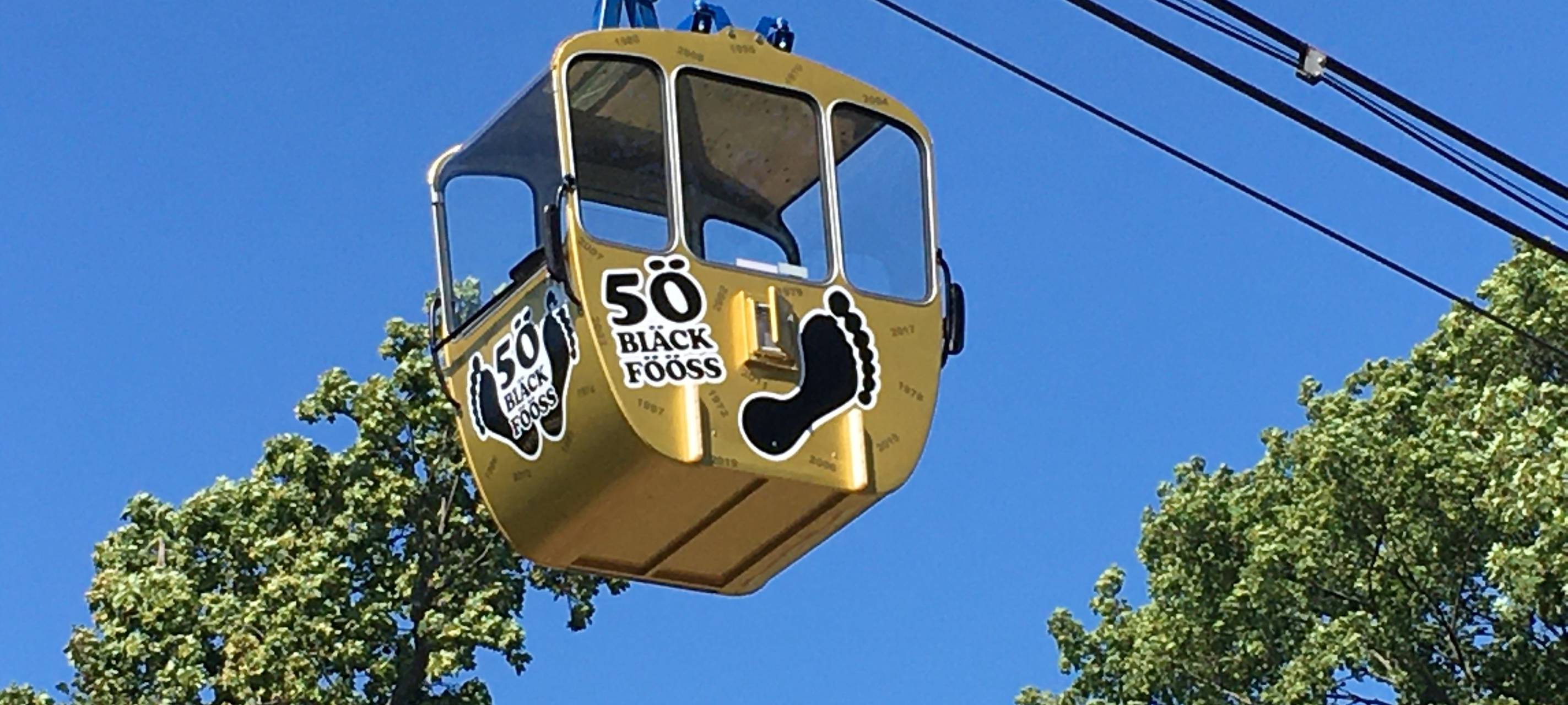 Köln: Goldene Bläck Fööss-Gondel überm Rhein