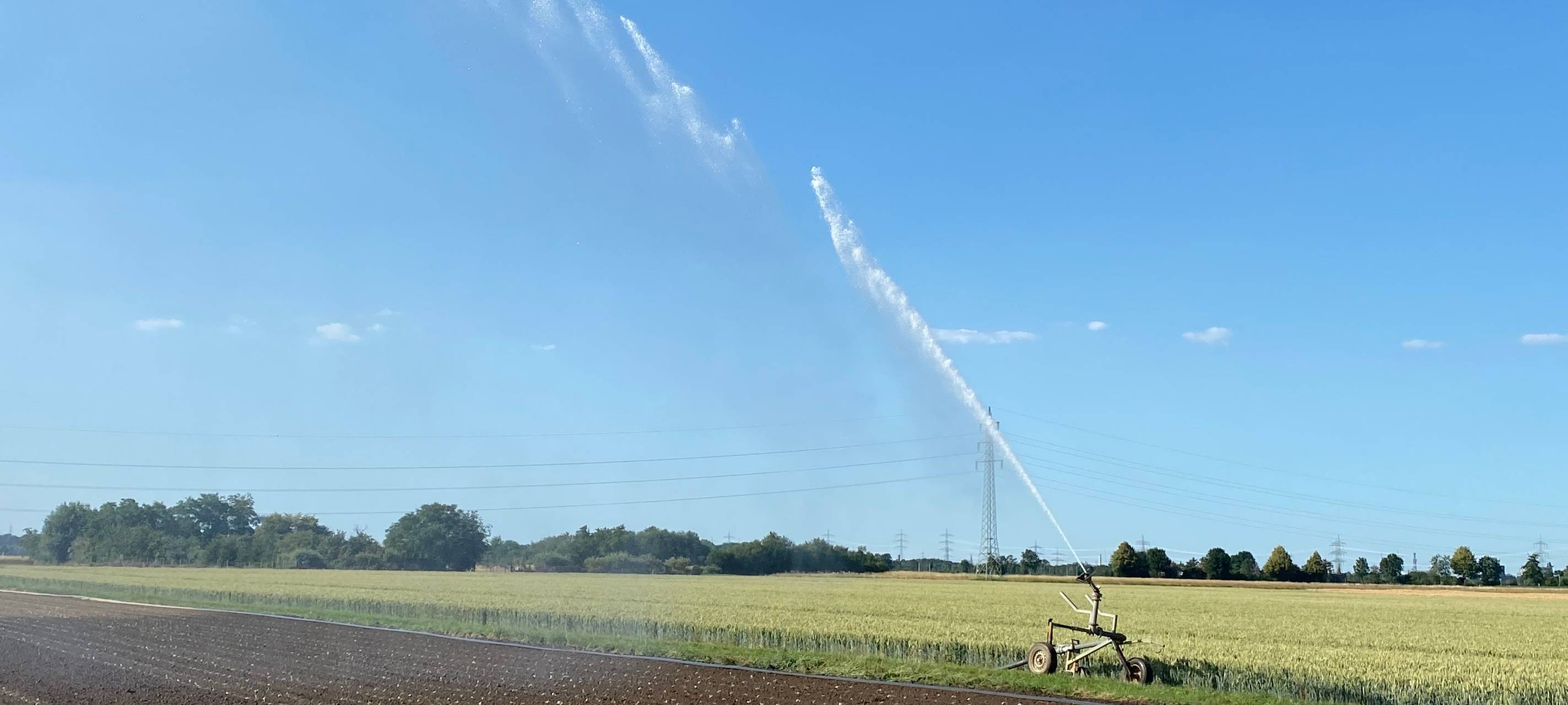 Rhein-Erft: Trockenheit hat Einfluss auf die Ernte