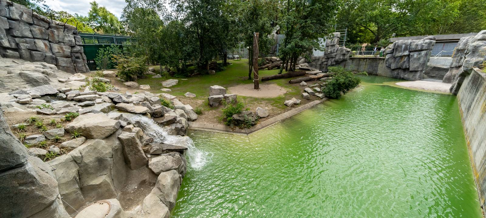 Köln: Neue Tiger-Anlage im Zoo