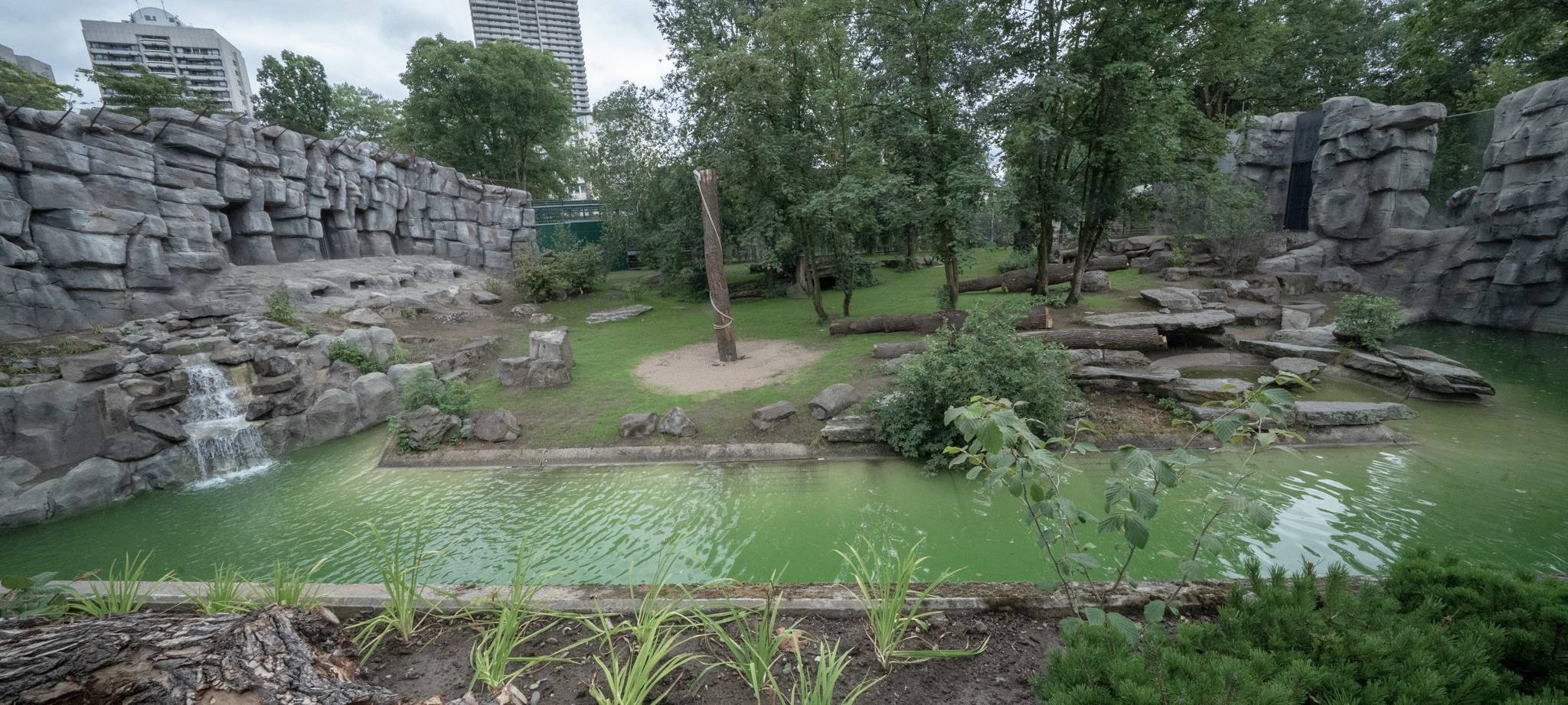 Köln: Neue Tiger-Anlage im Zoo