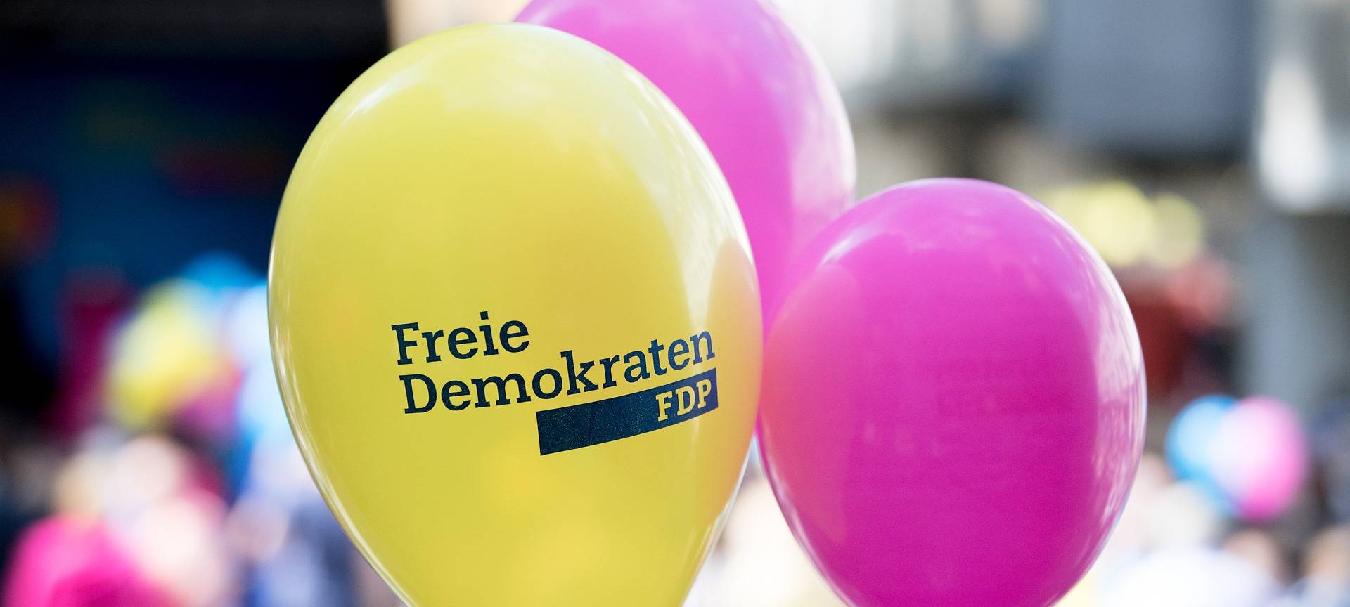 Rhein-Erft: Kreis-FDP will sich in Oberaußem neu aufstellen