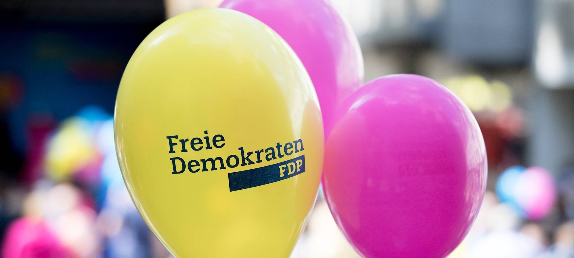 FDP im Rhein-Erft-Kreis wieder im Aufwind
