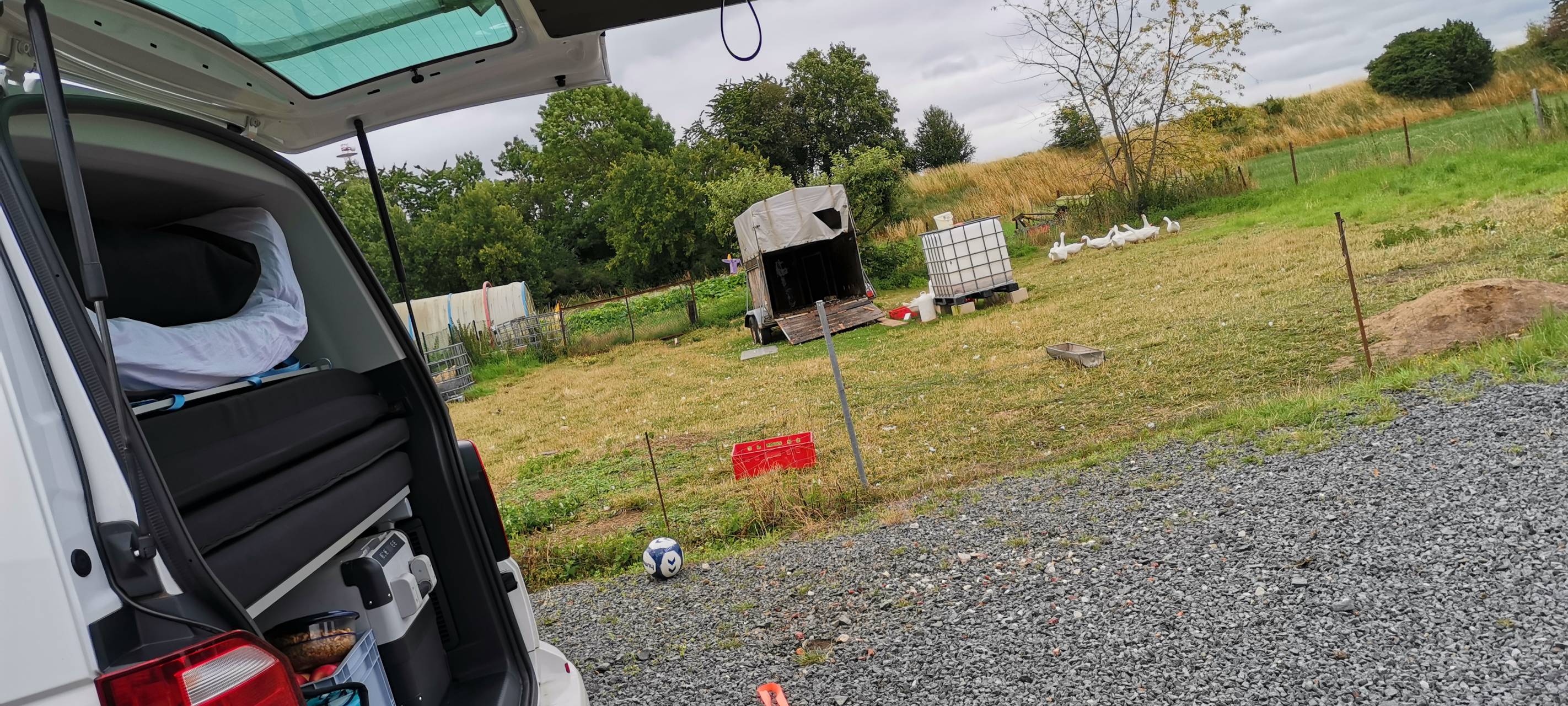 Rhein-Erft: Camping auf Bauernhof