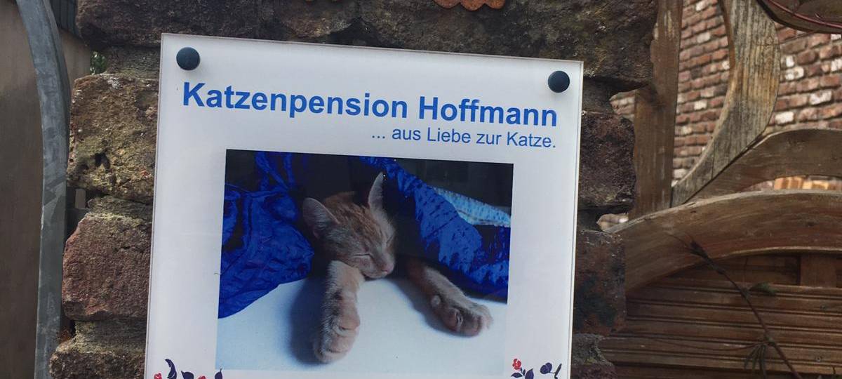 Katzenpension Stommelerbusch