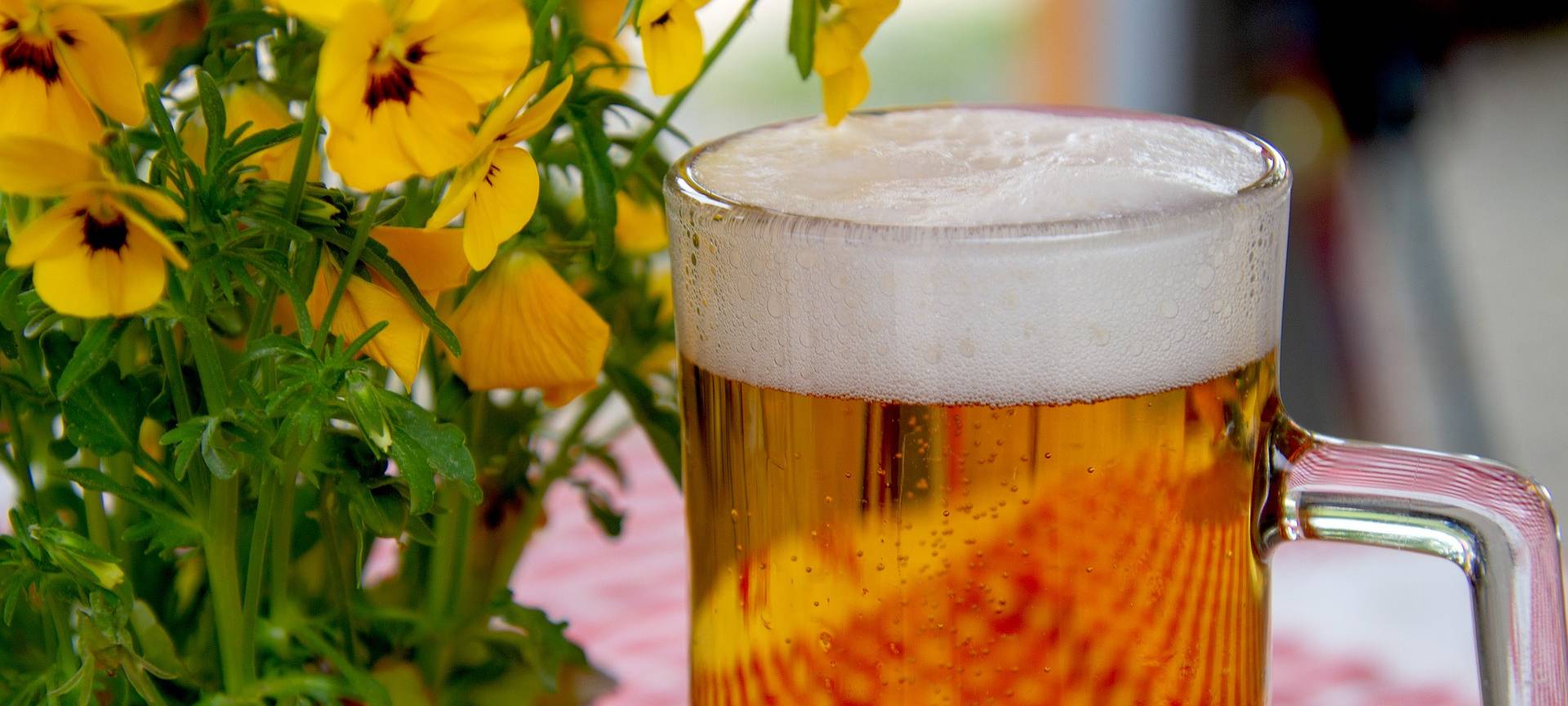 Köln: Pop-Up-Biergarten macht bald schon wieder dicht