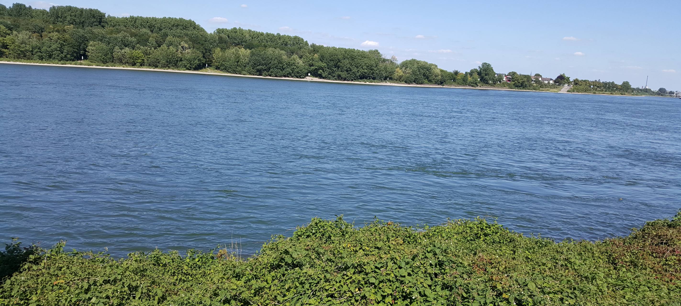 Wesseling: Anwohner wollen Rheinbrücke im Norden