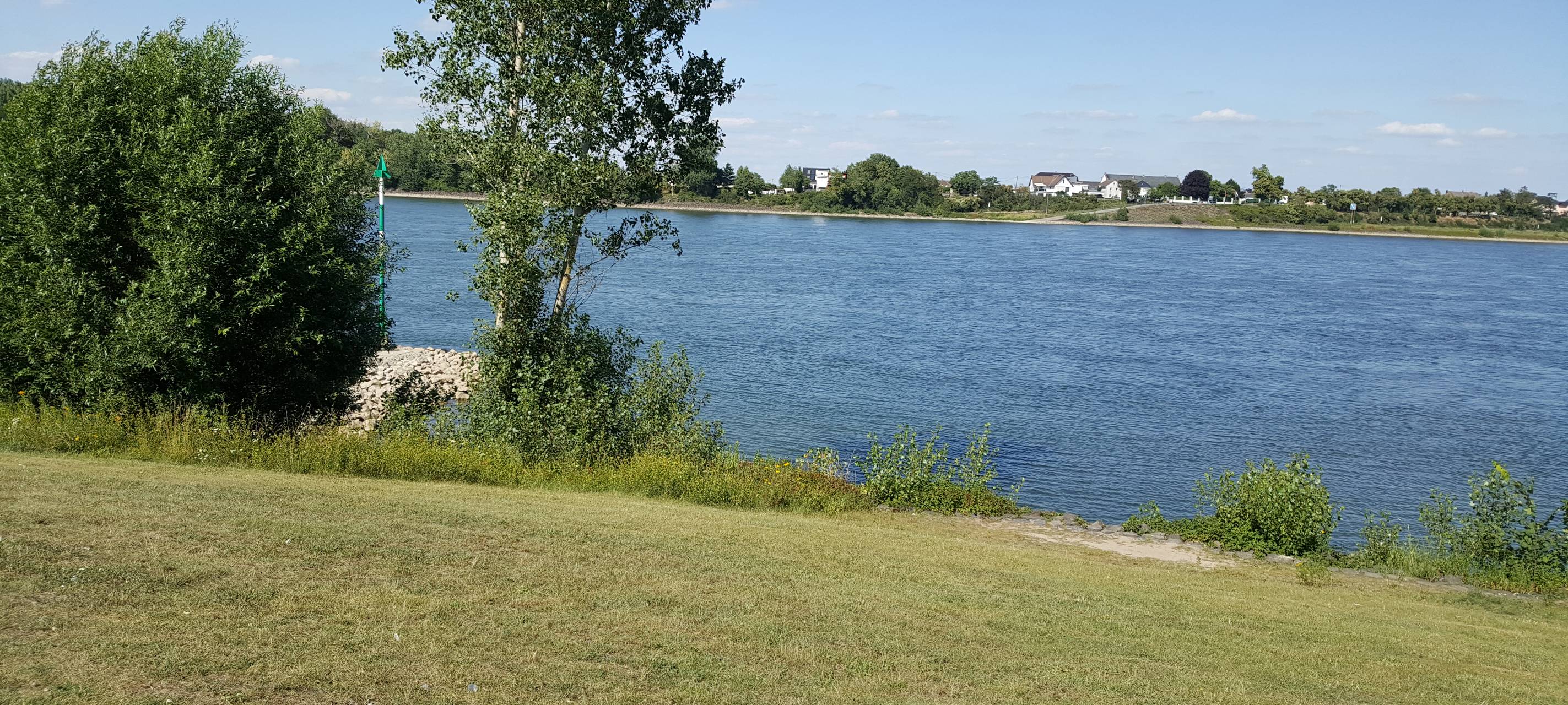 Köln: Vermisste Frau vom Rhein