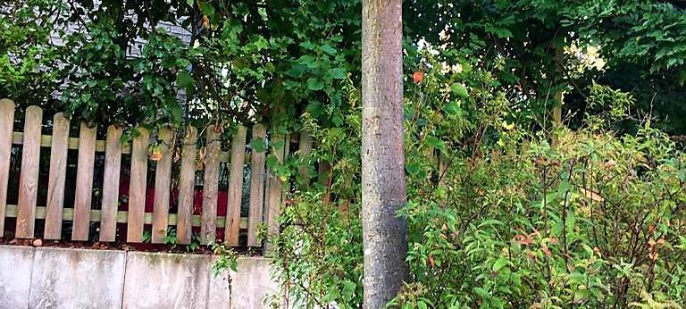 Pulheim: Hilfe für Straßenbäume