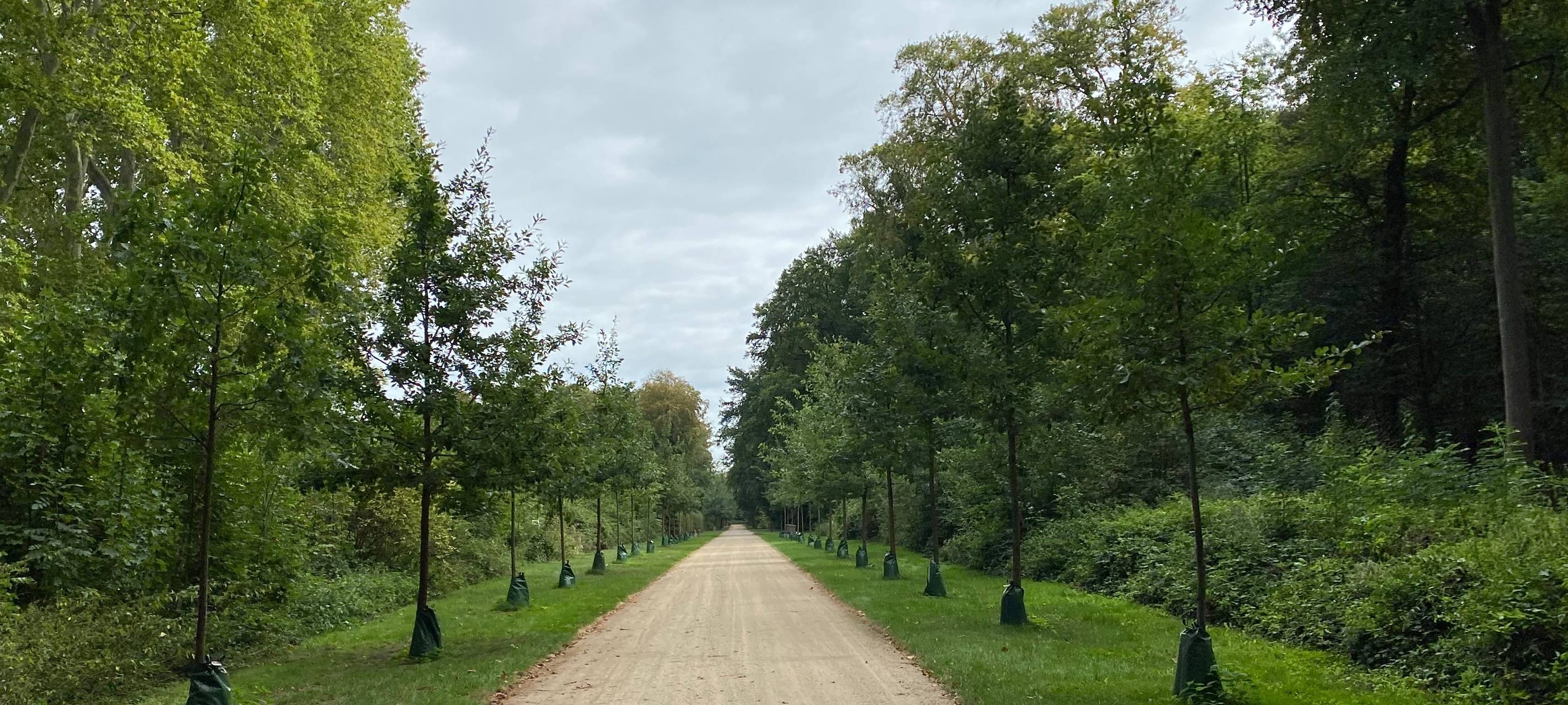 Brühl: Schnittarbeiten im Schlosspark beginnen