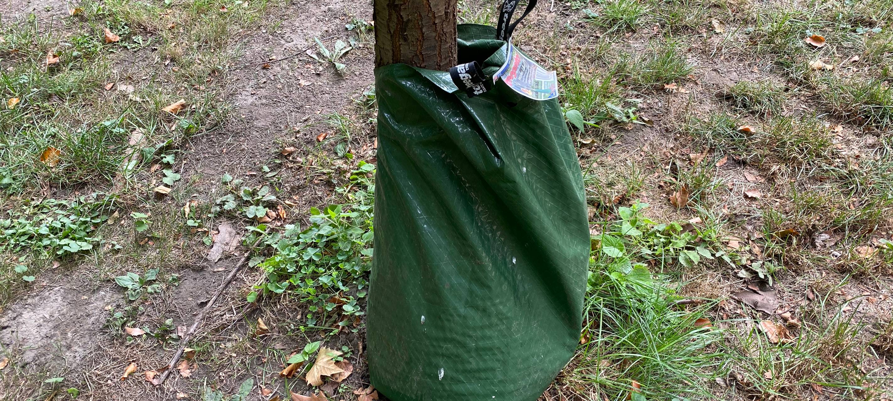 Brühl: Schnittarbeiten im Schlosspark beginnen