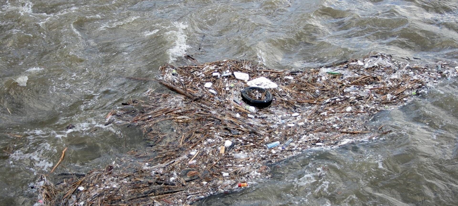 Köln/Wesseling: Greenpeace nimmt Wasserproben im Rhein