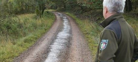 Region: Ölspur im Nationalpark Eifel