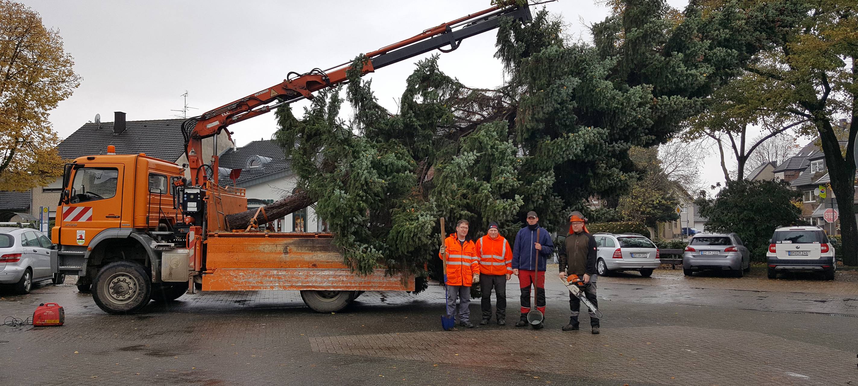 Elsdorf: Stadt sucht Weihnachtsbäume für alle Ortsteile