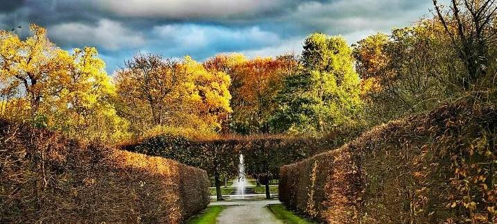 Hilfe für Bäume im Brühler Schlosspark