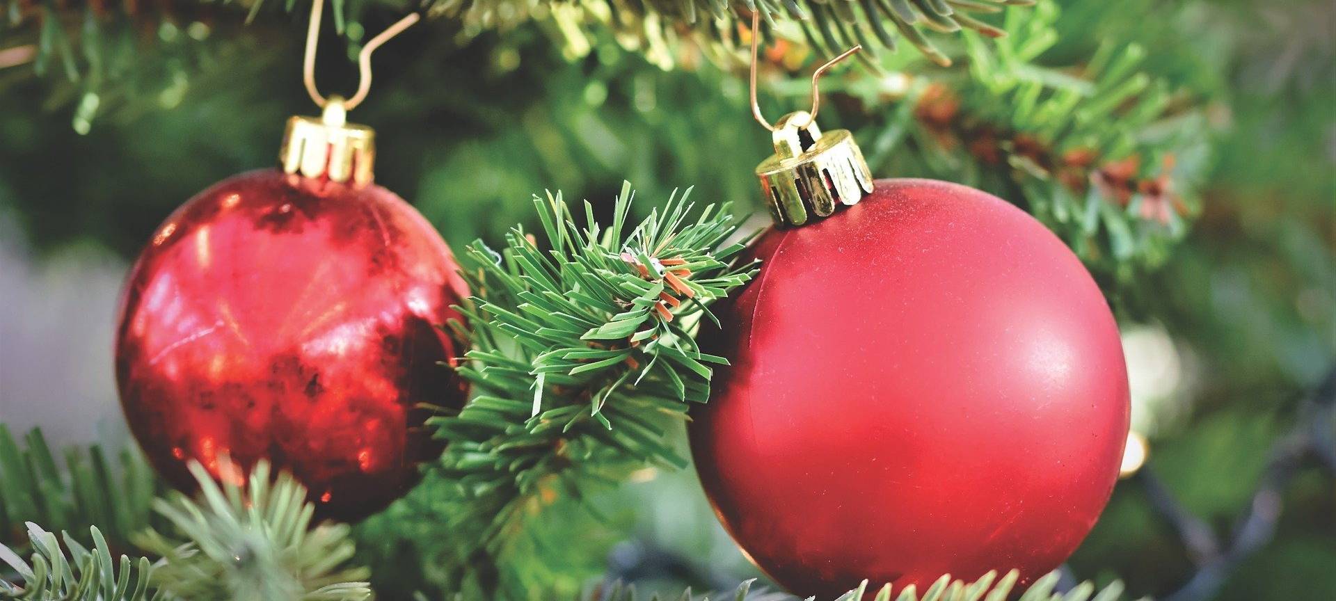 Pulheim: Weihnachtsbaum kommt nach Sinthern
