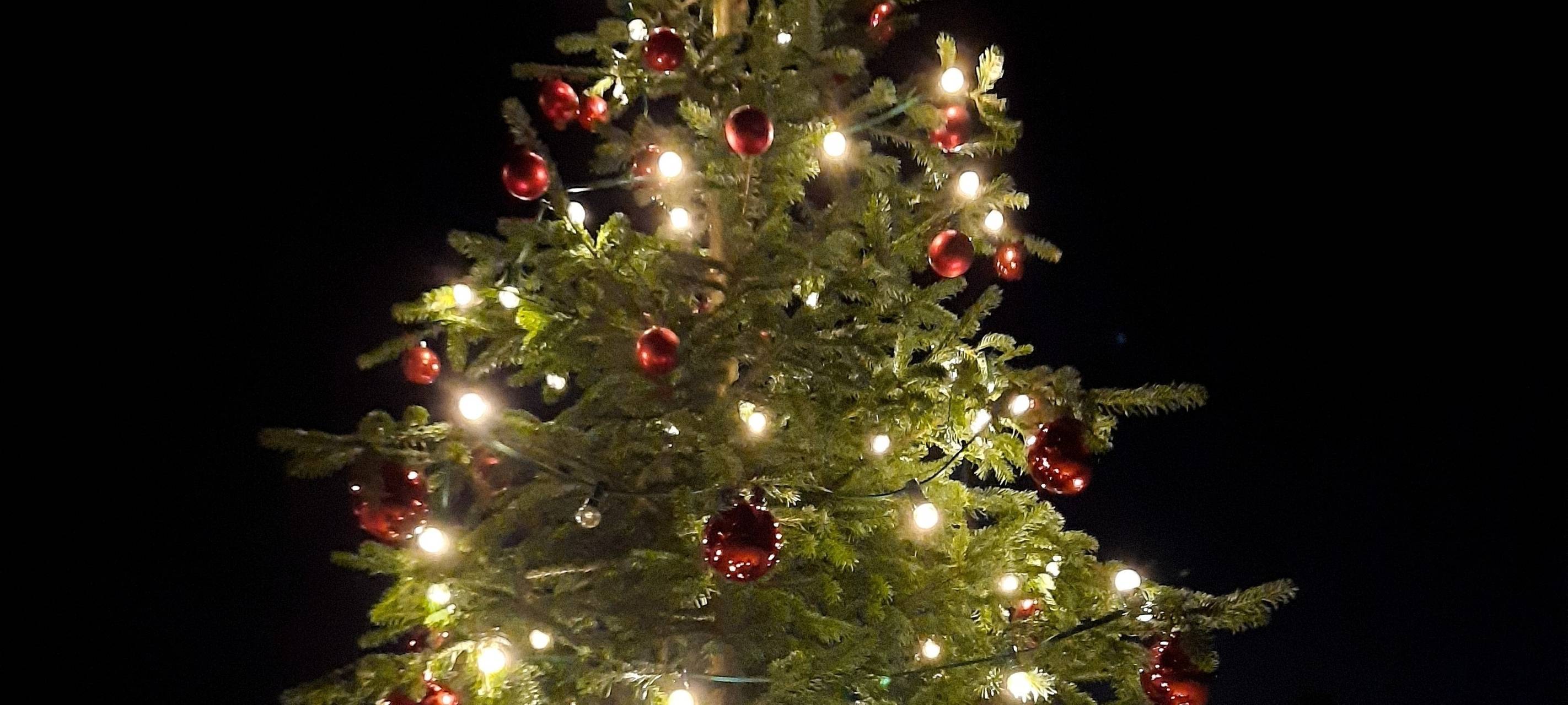 Erftstadt: Weihnachtsbaum für den Lechenicher Marktplatz