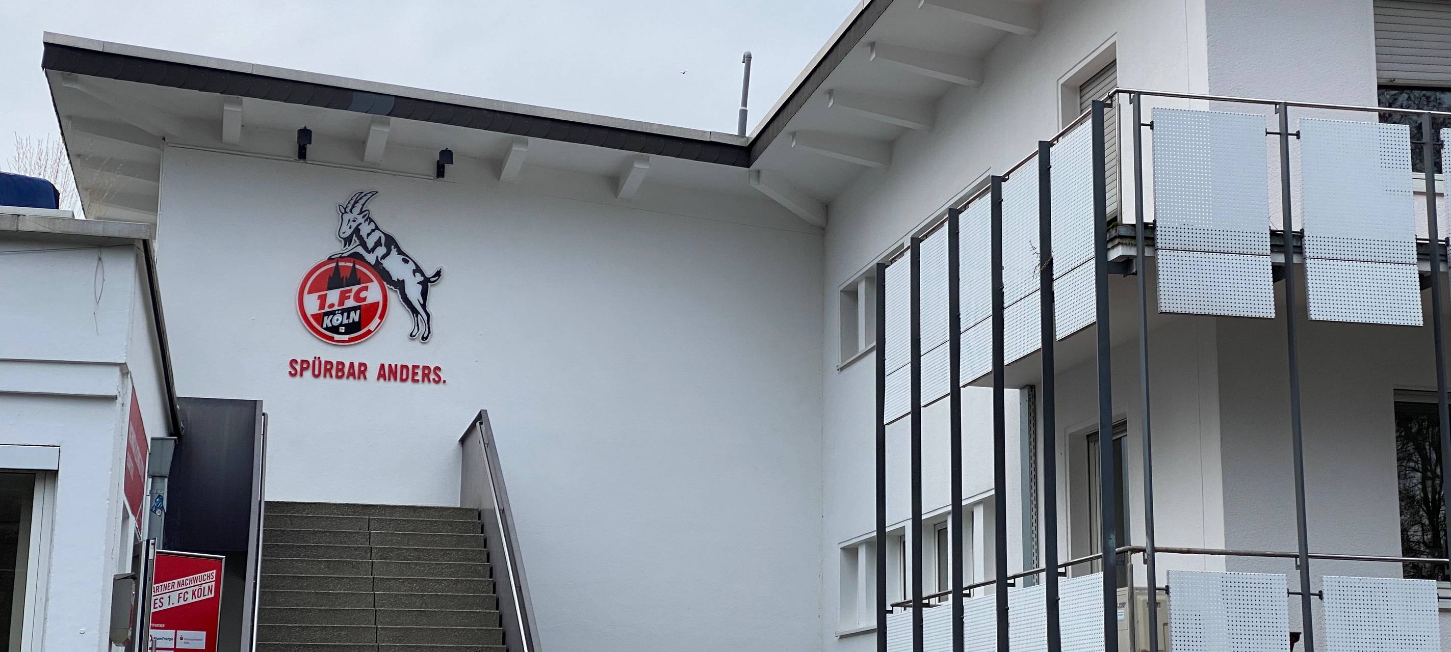 Köln: Rejek wird neuer Geschäftsführer beim FC