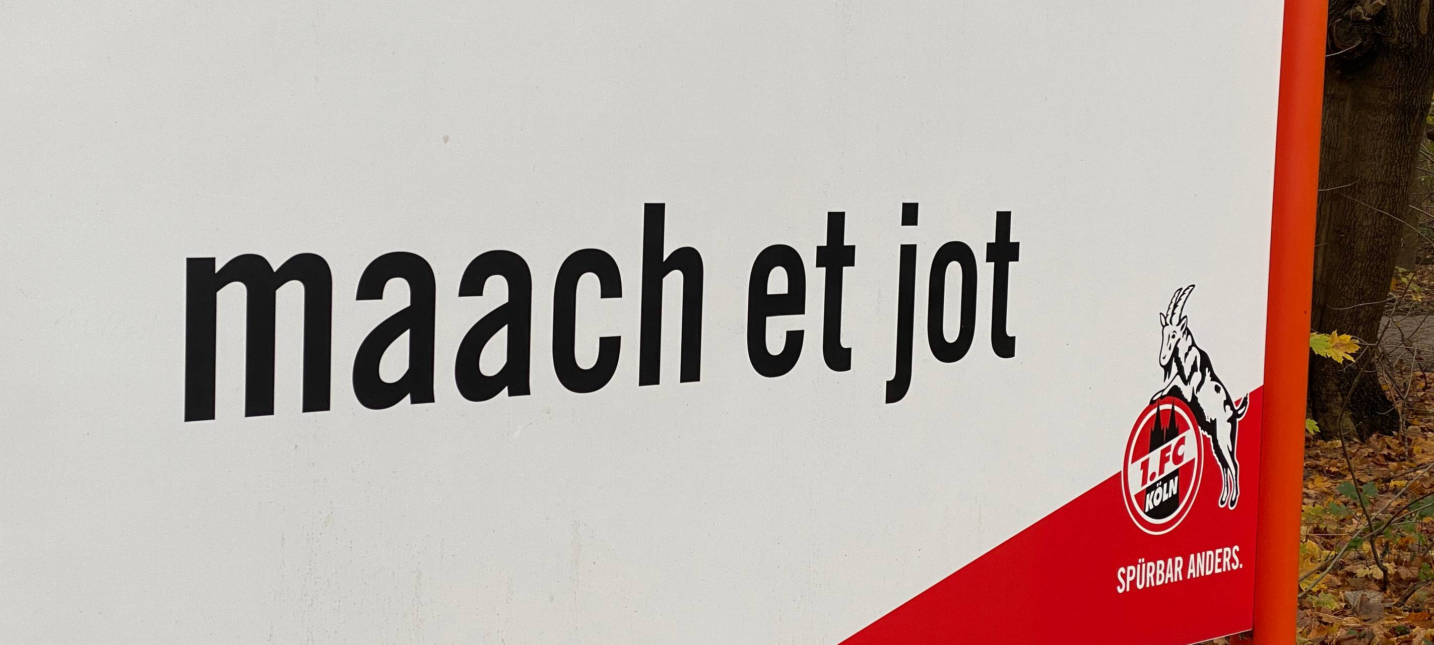 Köln: Katterbach vor neuem Engagement beim HSV