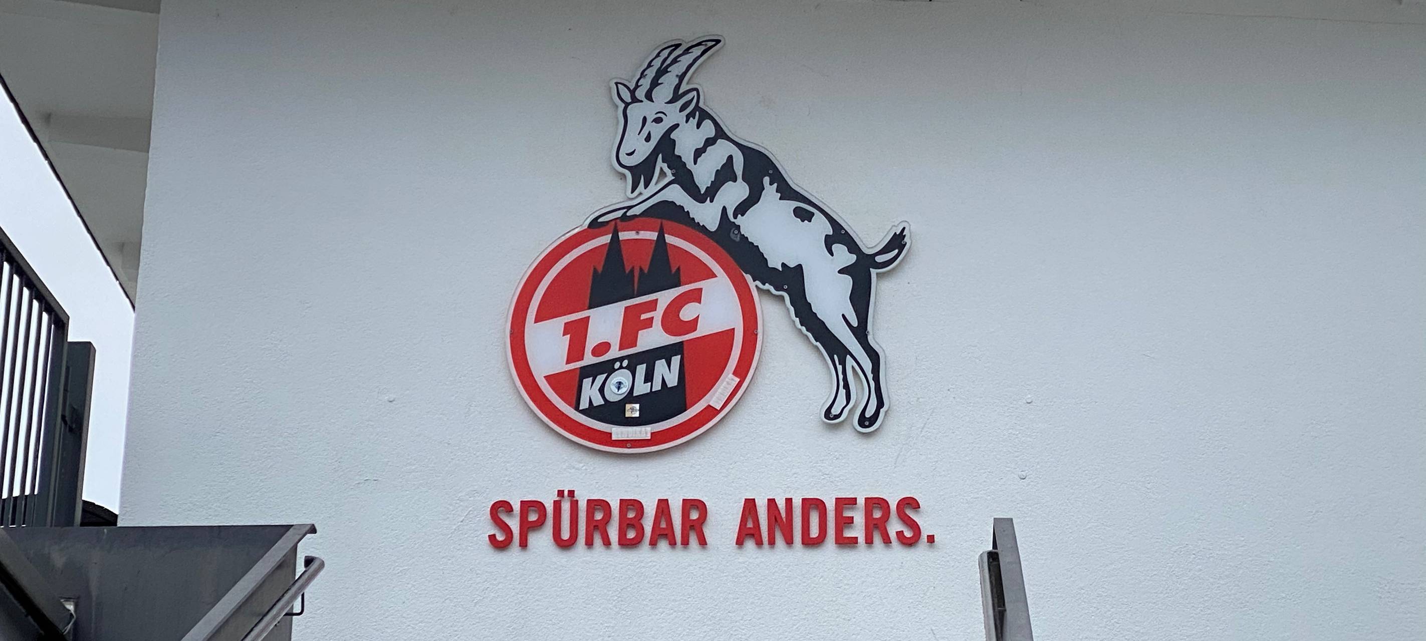 Köln: Hybride Mitgliederversammlung des 1. FC Köln