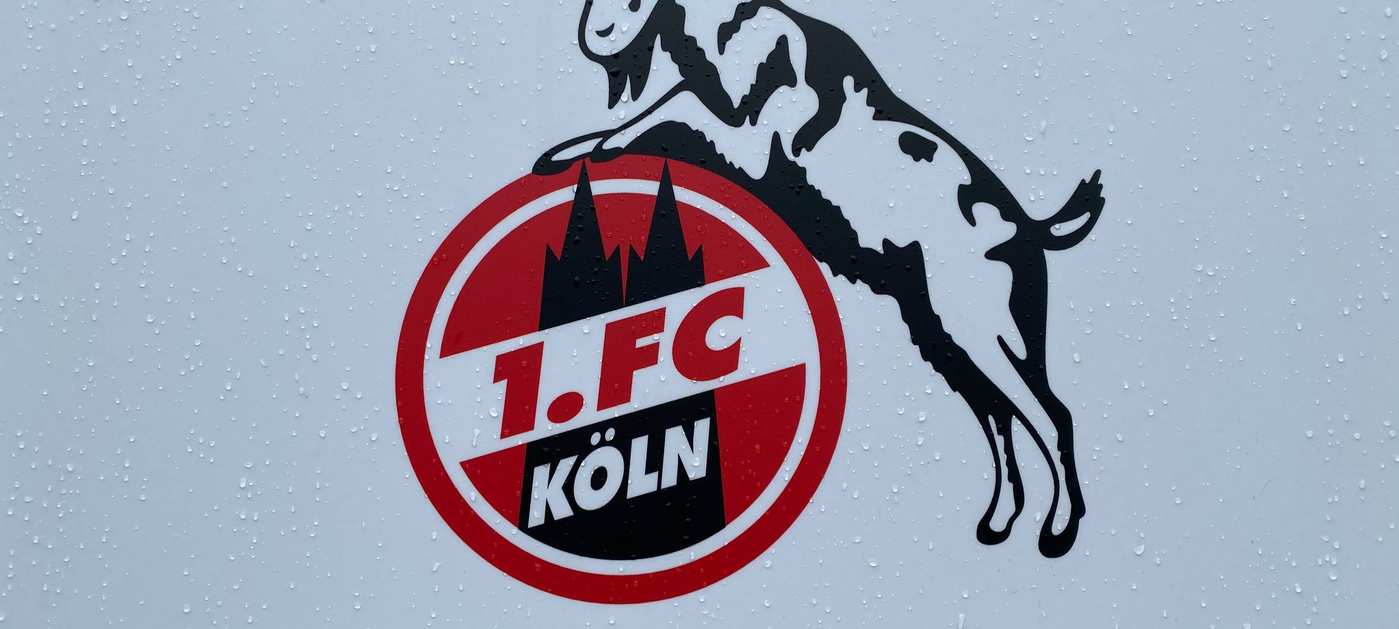 1. FC Köln klagt gegen Corona-Beschränkungen