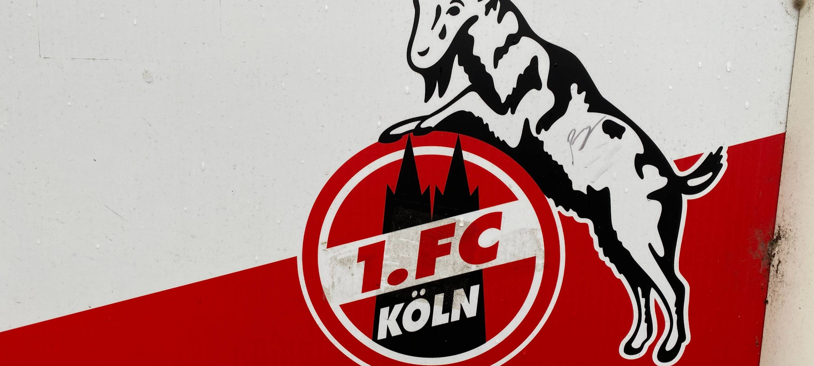 Köln: FC-Torjäger ist wieder im Training