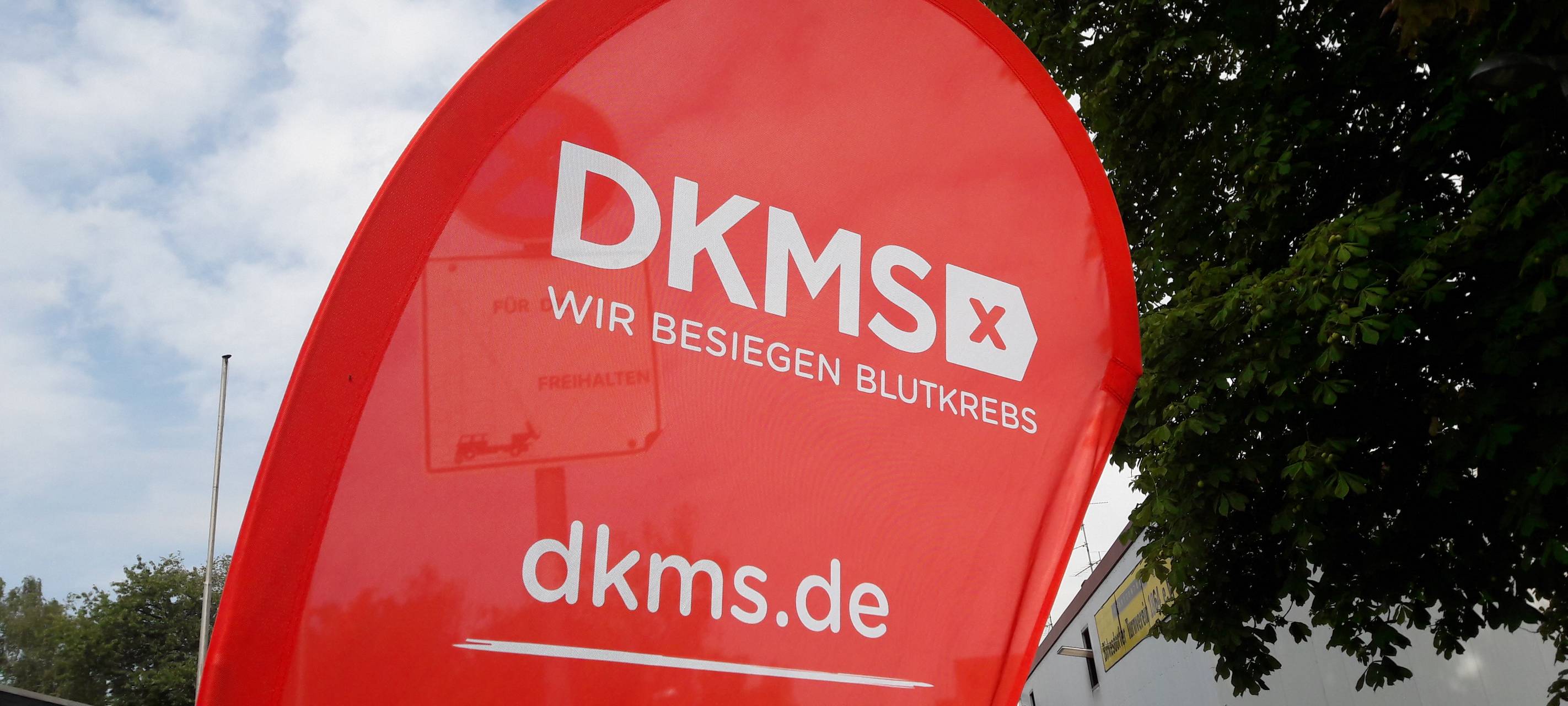 Kerpen: Schüler sammeln für DKMS