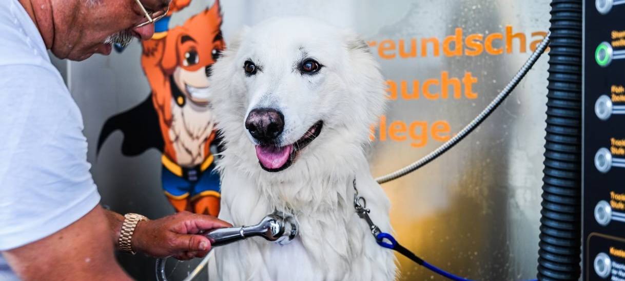 In Brauweiler gibt es die Hundewaschanlage