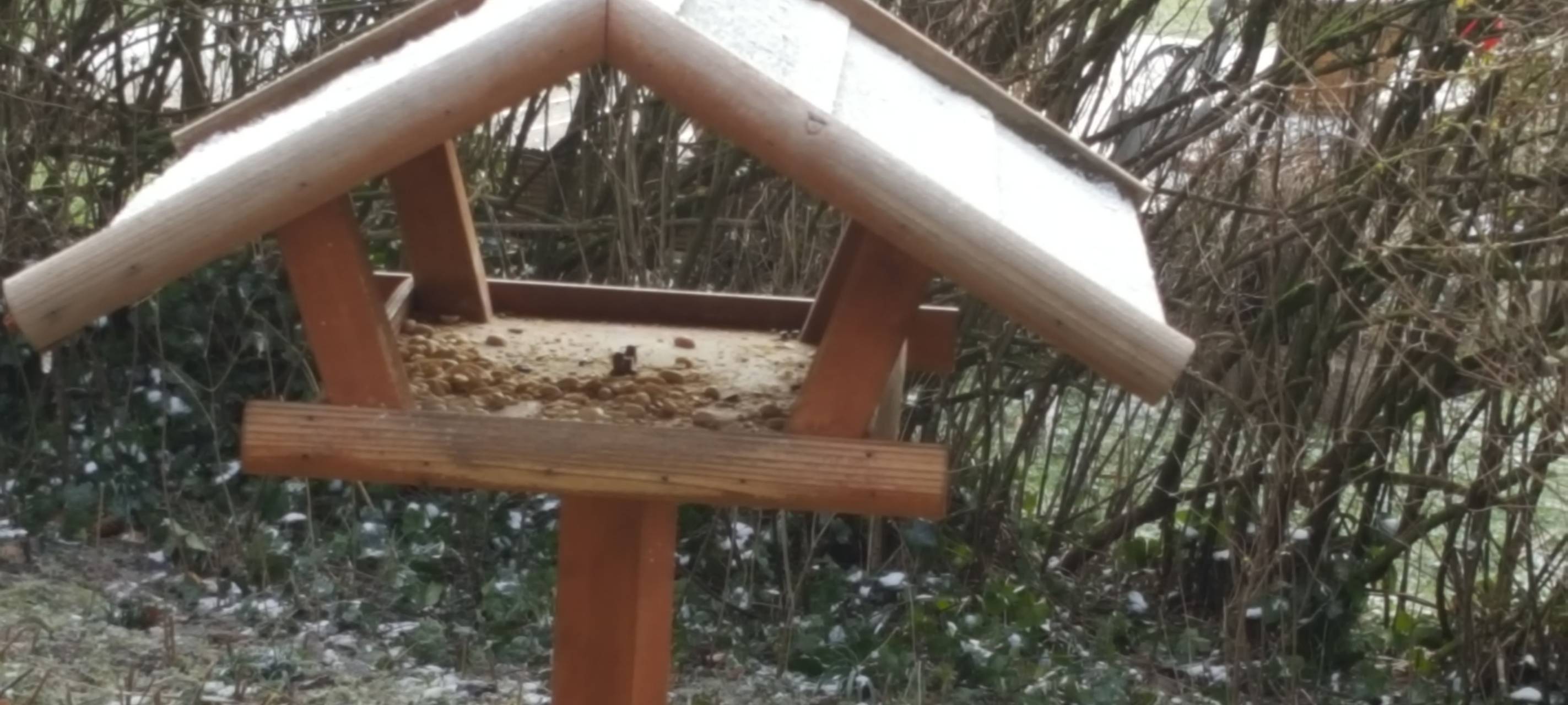 Vogelzählung im Rhein-Erft-Kreis startet