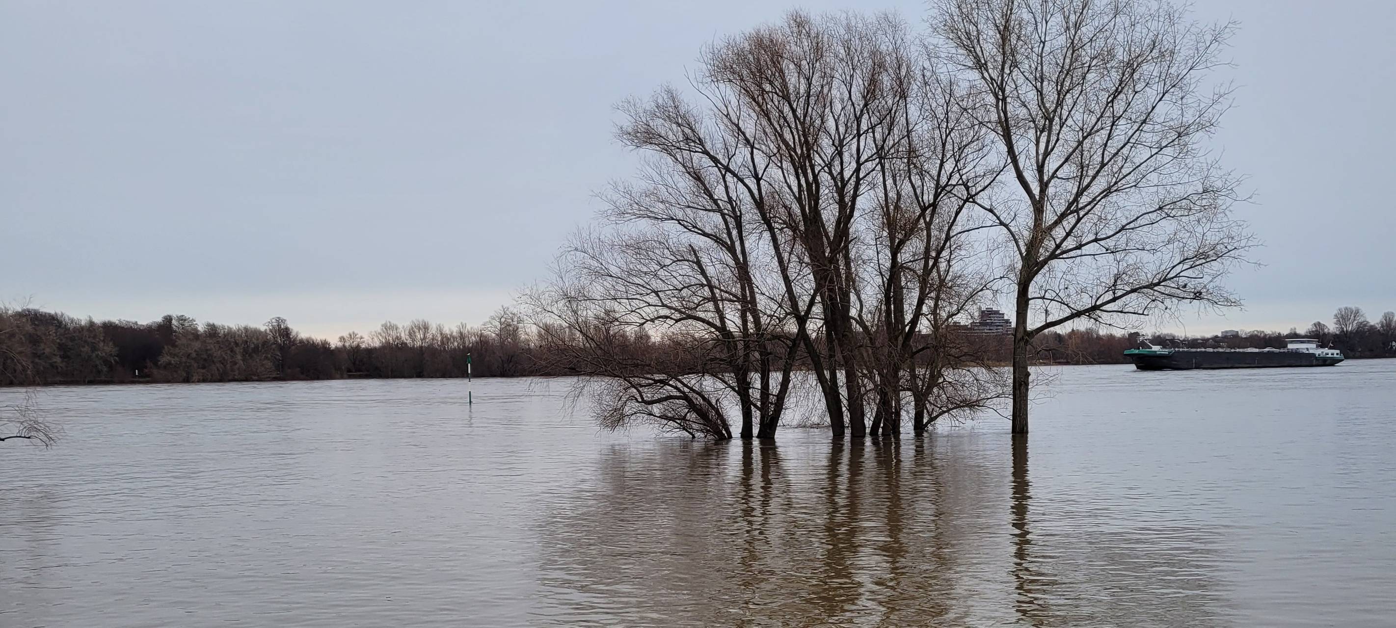 Leverkusen: Leiche im Rhein gefunden