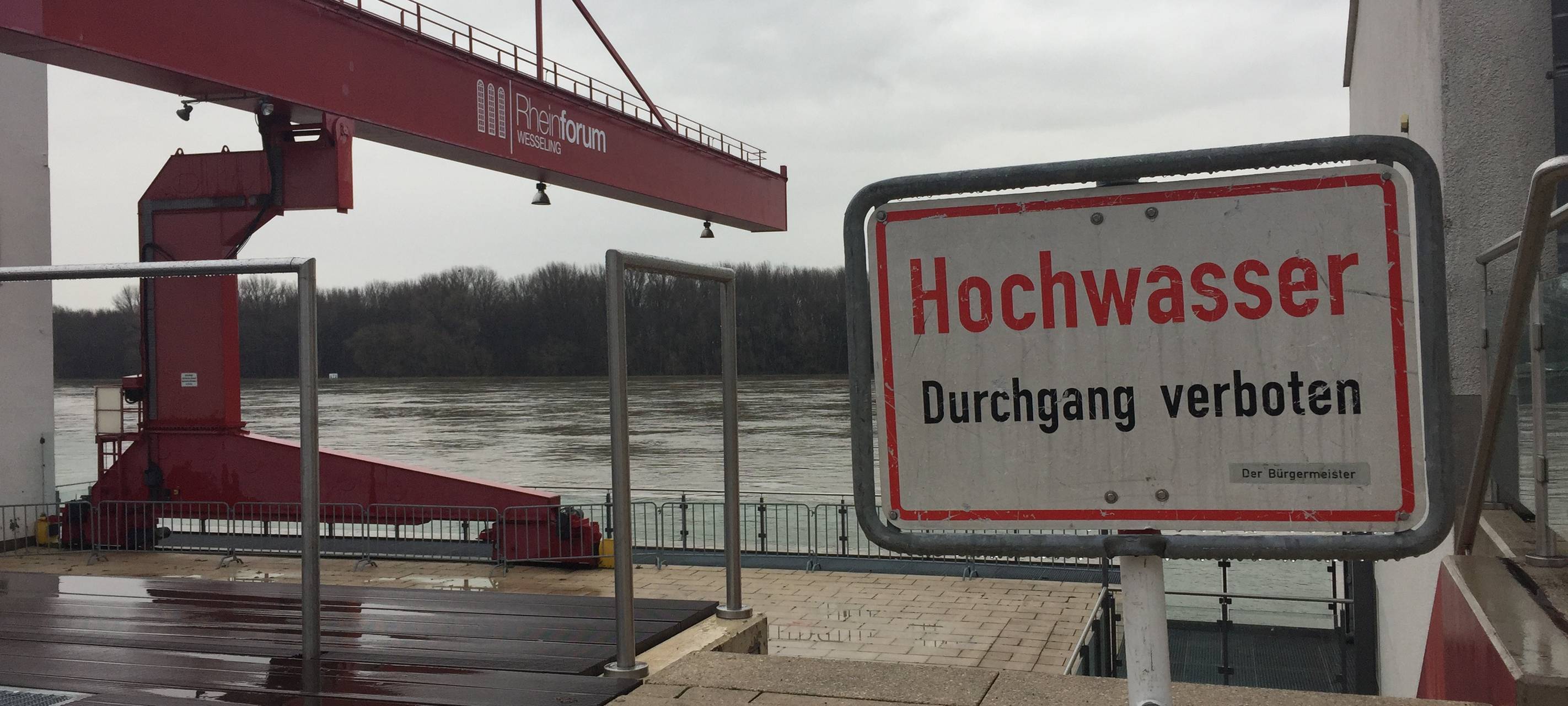 Köln/Wesseling: Rheinpegel steigt weiter