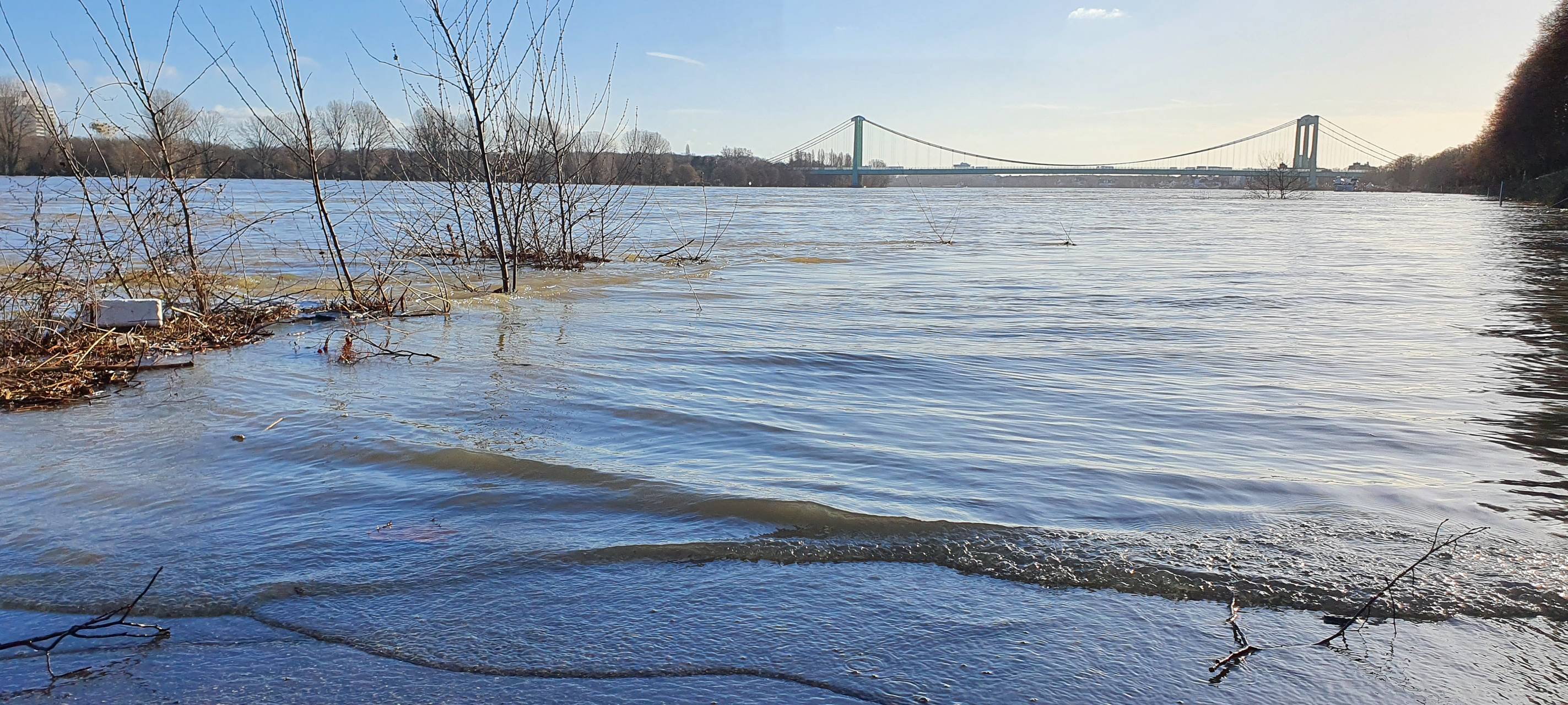 Rheinland: Hochwasser erreicht Scheitelpunkt